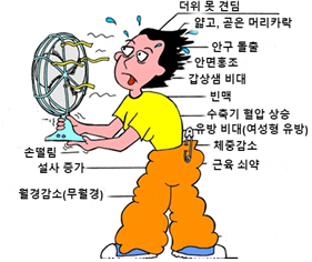 갑상샘기능항진증 증상