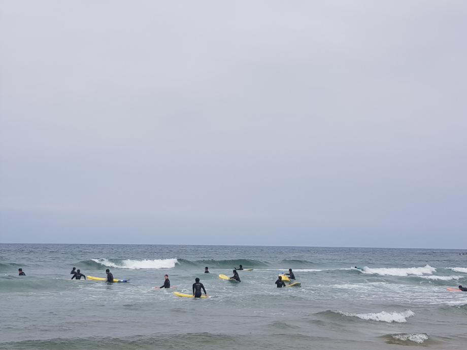 생활체육학전공 등산및캠핑 수업 &#39;서핑&#39; 7