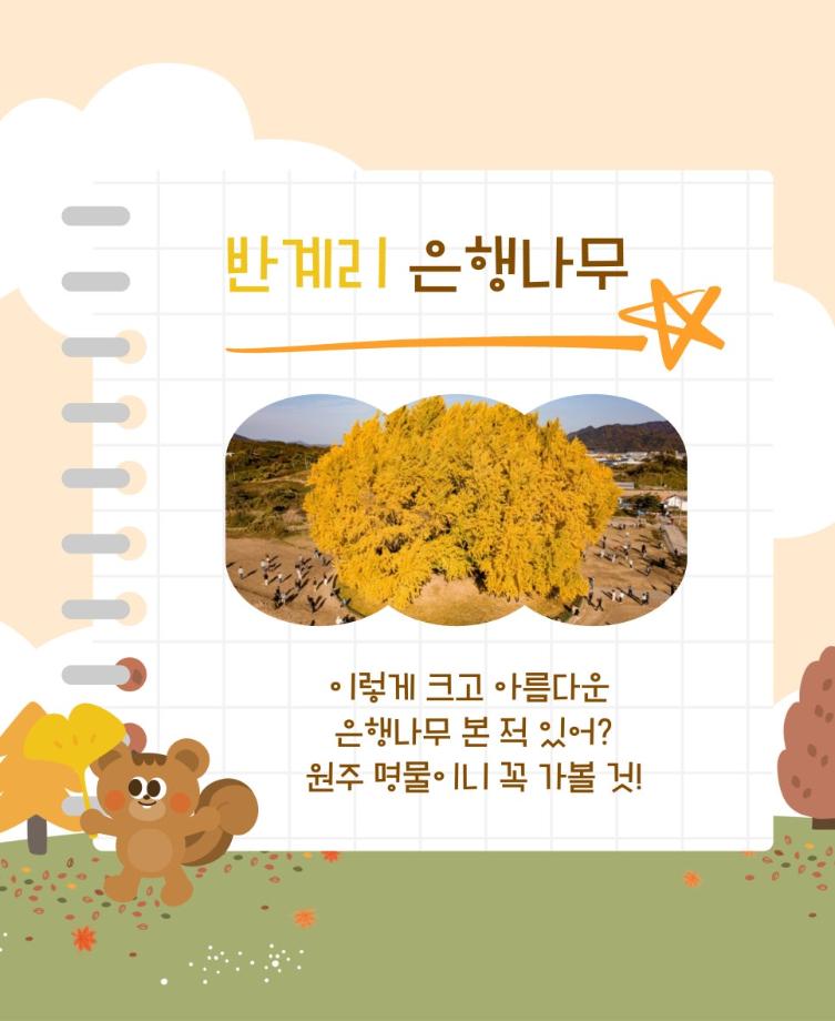 가을맞이 원주나들 7