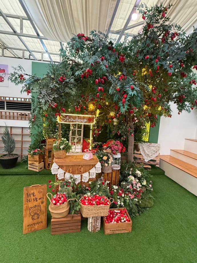 포천 딸기힐링팜 현장체험학습 6